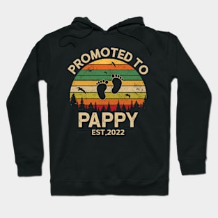 Promoted To Pappy Est 2022 Pregnancy Announcement Vintage Hoodie